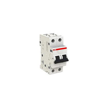 S202-C100 Interruptor automático - 2P - C - 100 A