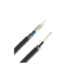 PANDUIT Cable Central con Armadura de 6 Fibras OM2, 50/125, Multimodo, Riser, 30cm, Negro - FSGR506Y