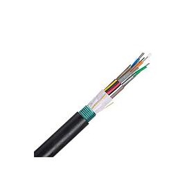 PANDUIT Cable  multifilar con armadura, para  planta  externa de 6 fibras, OM4, multi-
modo, sin grado. - FOWNZ06