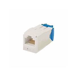 PANDUIT Conector Mini-Com™  RJ45, Categoría 6A, UTP, blanco. - CJ6X88TGWH