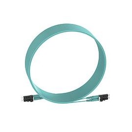 PANDUIT Cable de conexión de fibra óptica, OM4, Riser, 10M - FZ2ERLNLNSNM010