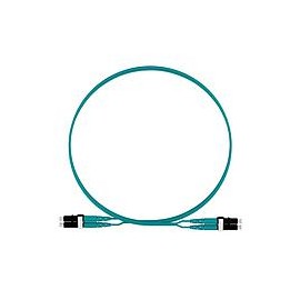 PANDUIT Cable de conexión de fibra dúplex, OM4, Riser, 1M - FZ2ERLNLNSNM001