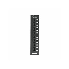 NETKEY Panel de parcheo perforado, Cat 5e, plano - NK5EPPG12WY